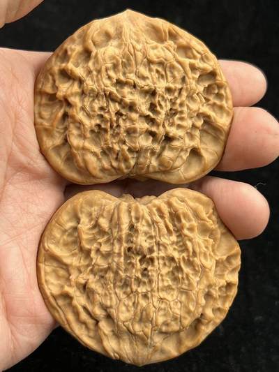 60超大尺寸麒麟纹官帽异形桃心扁核桃1对(30126) 尺寸边60*60高50*50厚16*17mm重量40.9g - 60超大尺寸麒麟纹官帽异形桃心扁核桃1对(30126) 尺寸边60*60高50*50厚16*17mm重量40.9g