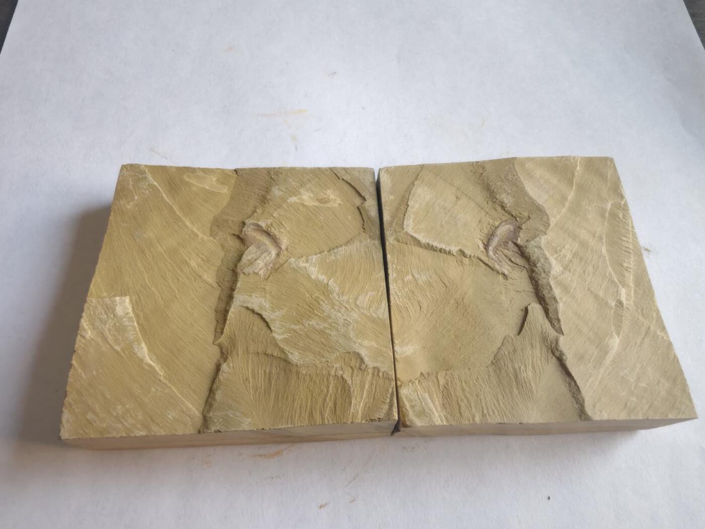 0押金0佣金0快递费，化石处理，寒武纪至二叠纪