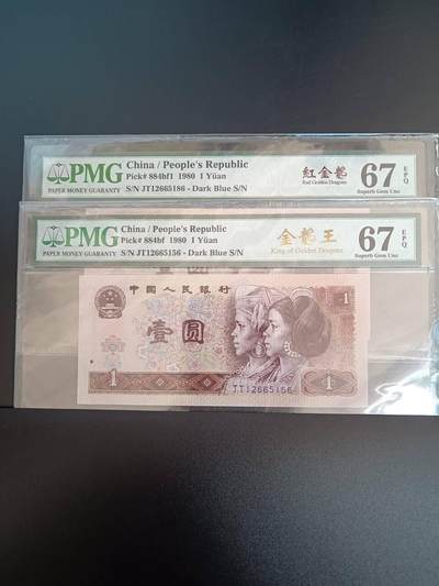 同刀异体金龙王 红金龙 - 同刀异体金龙王 红金龙