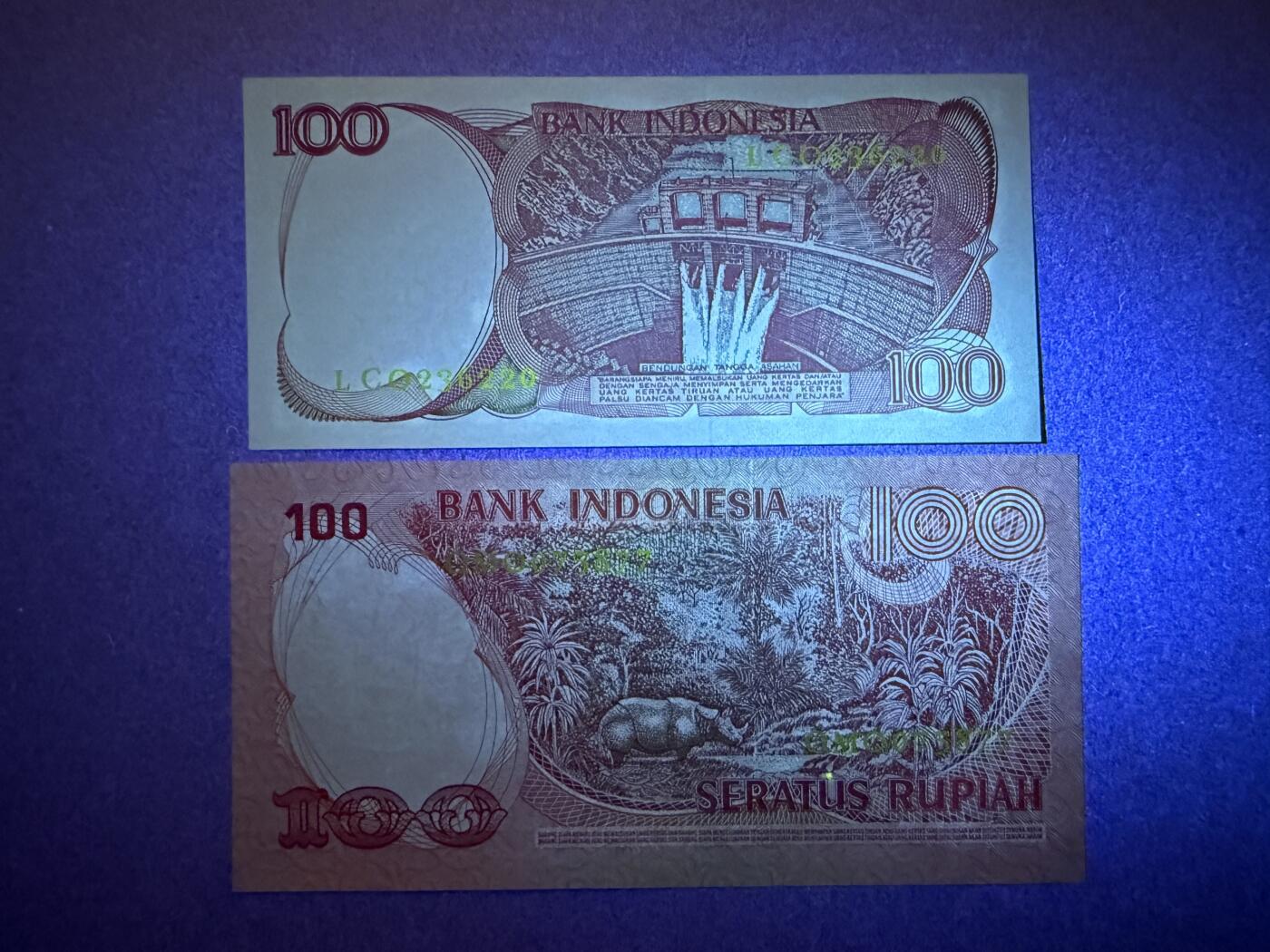 《艾美收藏》第194期-周六外币荟萃畅拍场 印度尼西亚100盾2张 UNC 1977、1984年 无4