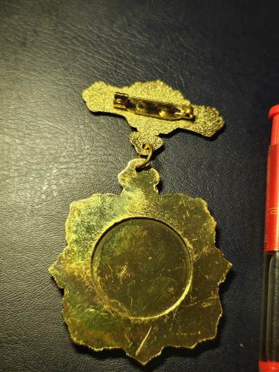 抗击疫情防控奖章 抗击疫情防控奖章