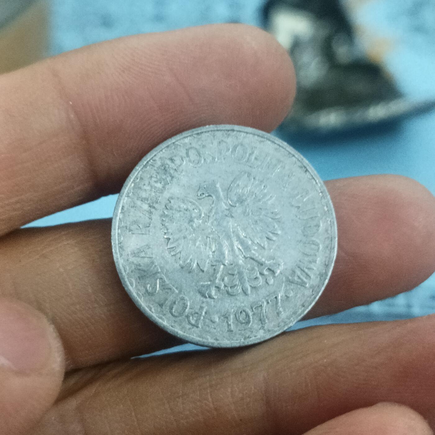 泡泡币外币第五场 波兰