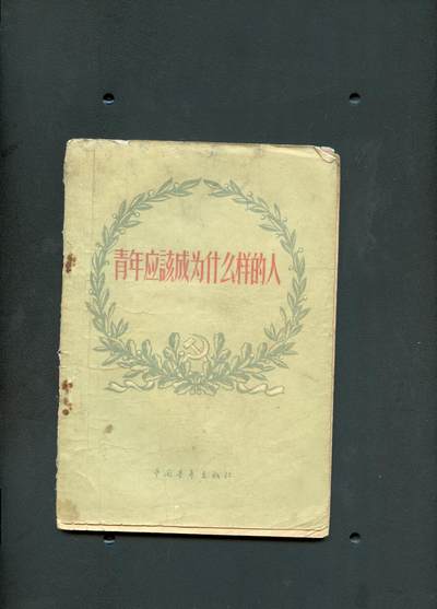 沧河堂书籍00013 - 1956年 青年应该成为什么样的人