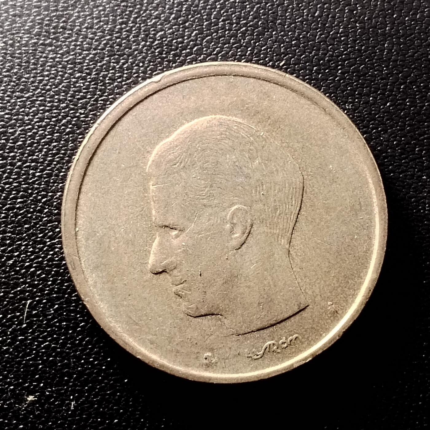 松的代拍 比利时