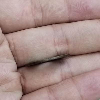 PCAI钱币7-310 钱币证章小专场 光绪通宝 库平广一钱