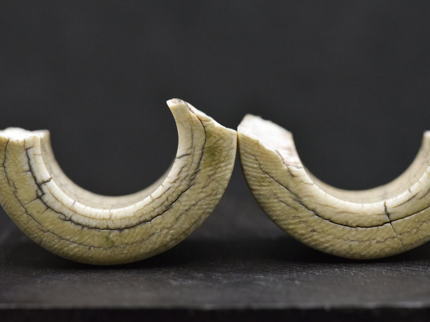 【良泉】【直播场】第三十期，4月24日晚19.30点开拍！200组，西方古代钱币、古代印章专场（本场结束后，本月寄存物品需要邮寄清空，有寄存的朋友请注意）