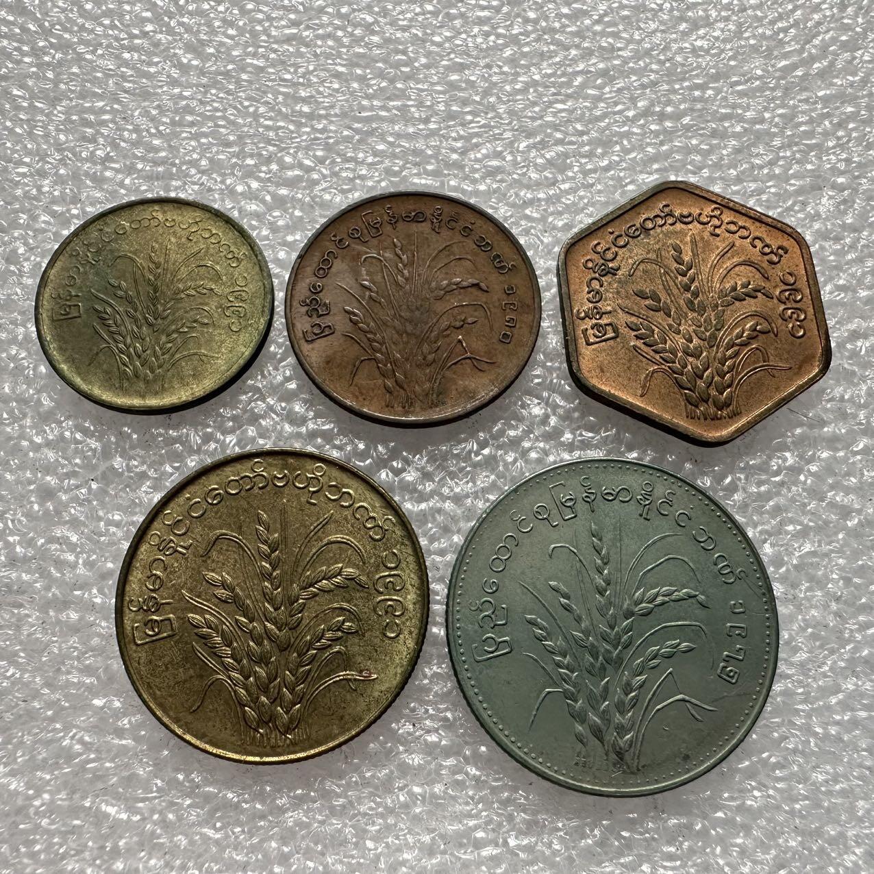 🌹外币初藏🌹🐯2025年第35场  每周二四六晚8️⃣点 接代拍 缅甸水稻版五枚套
