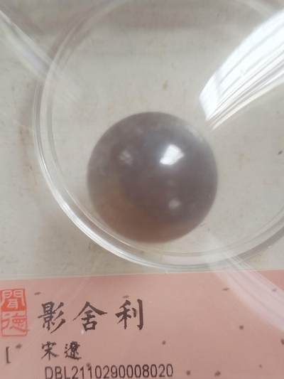 纪念币 硬币 评级币专场 宋辽 舍利子。