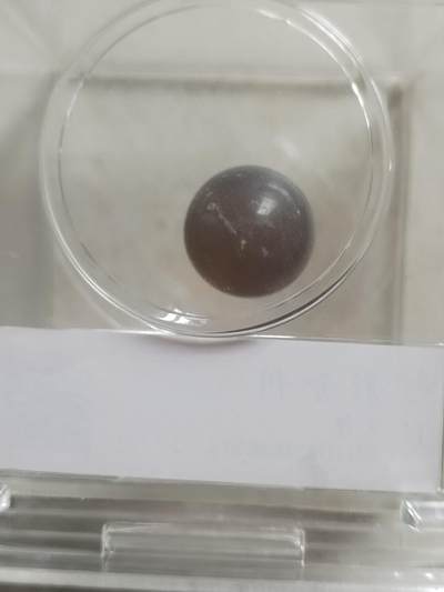 纪念币 硬币 评级币专场 宋辽 舍利子。