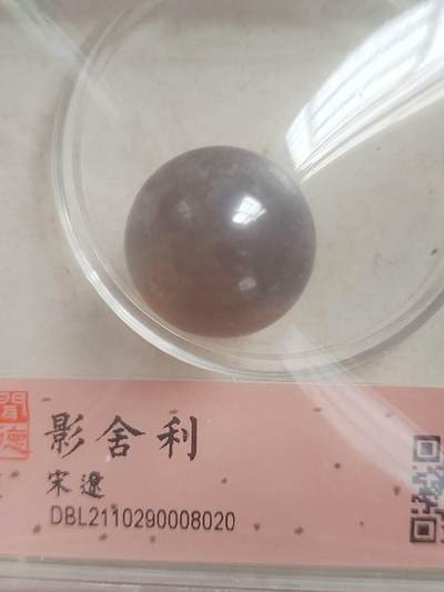 纪念币 硬币 评级币专场 宋辽 舍利子。