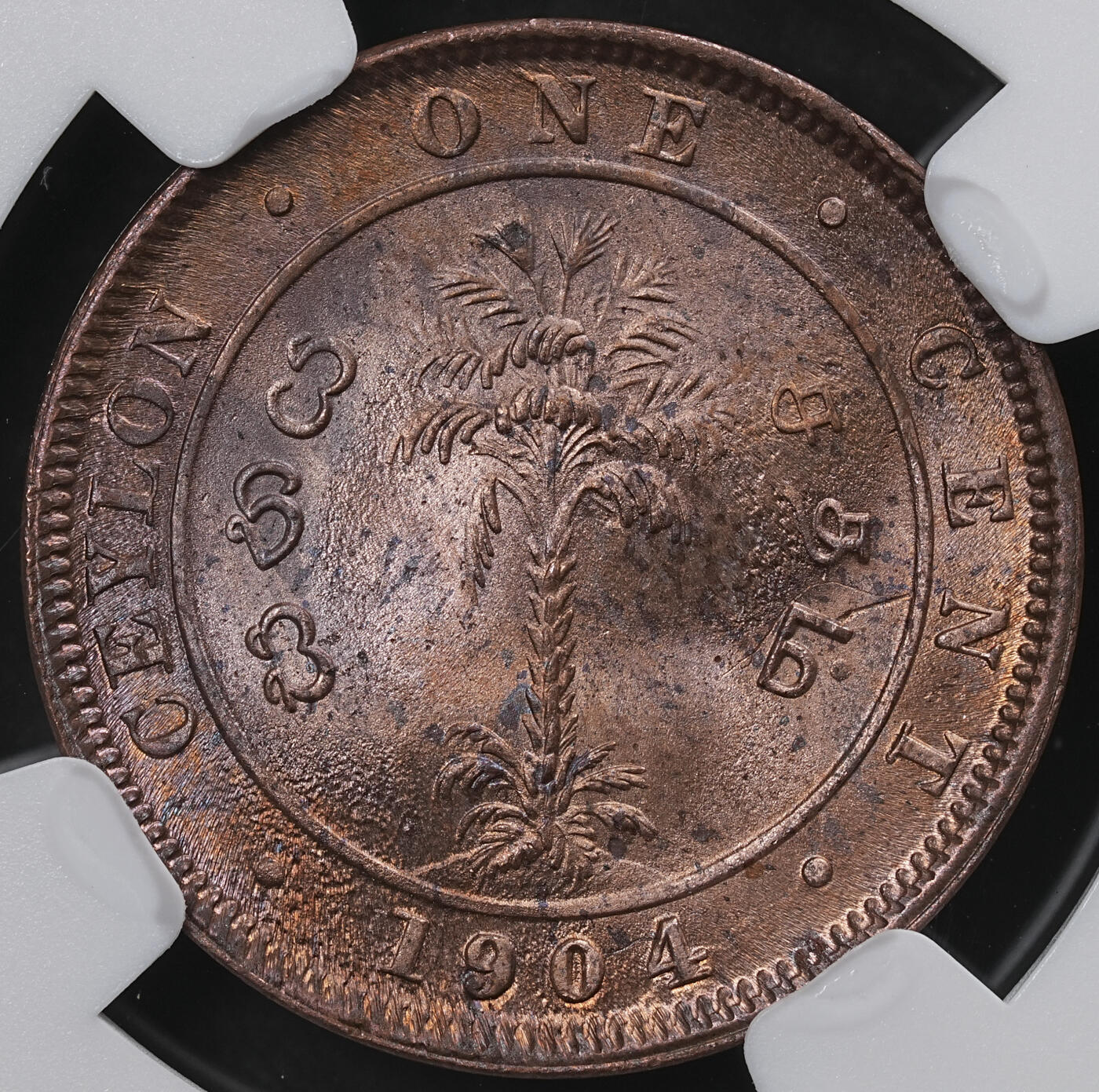 修遠堂世界钱币第六十五期 NGC MS65RB 1904年英属锡兰1分铜币