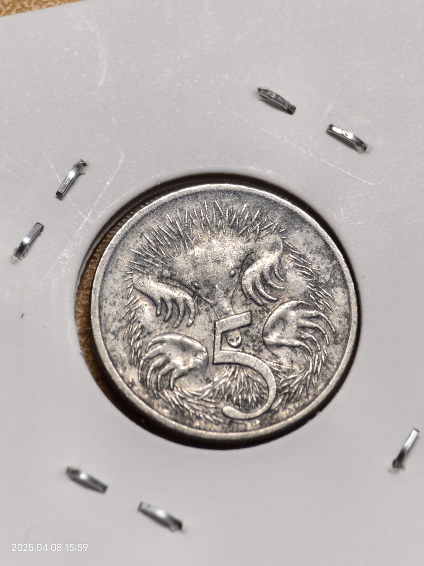 思丞收藏新店开张　散币第7场 0元起拍 可预留 无佣金 澳大利亚