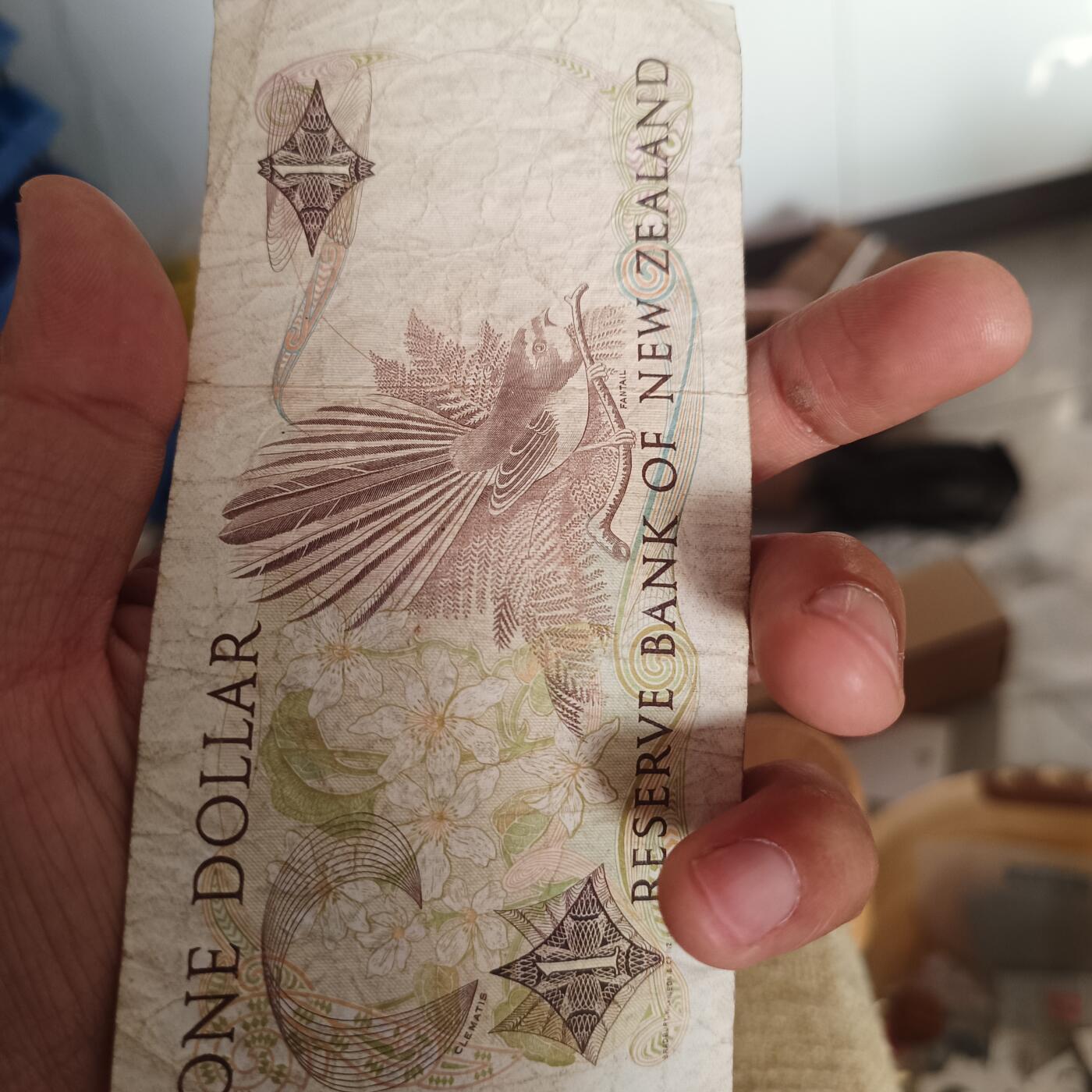 泡泡币外币第九场 新西兰一D