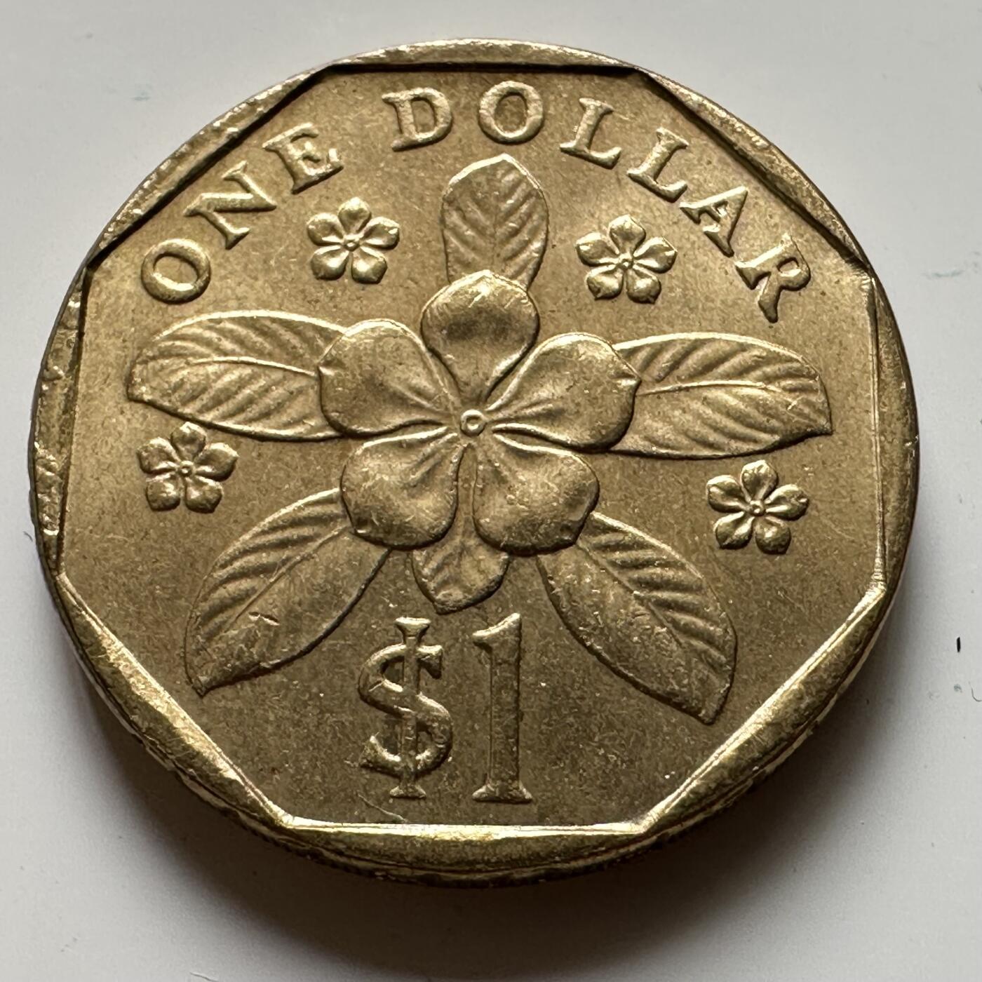 🌹外币初藏🌹🐯2025年第36场  每周二四六晚8️⃣点 接代拍 新加坡1995年¥1