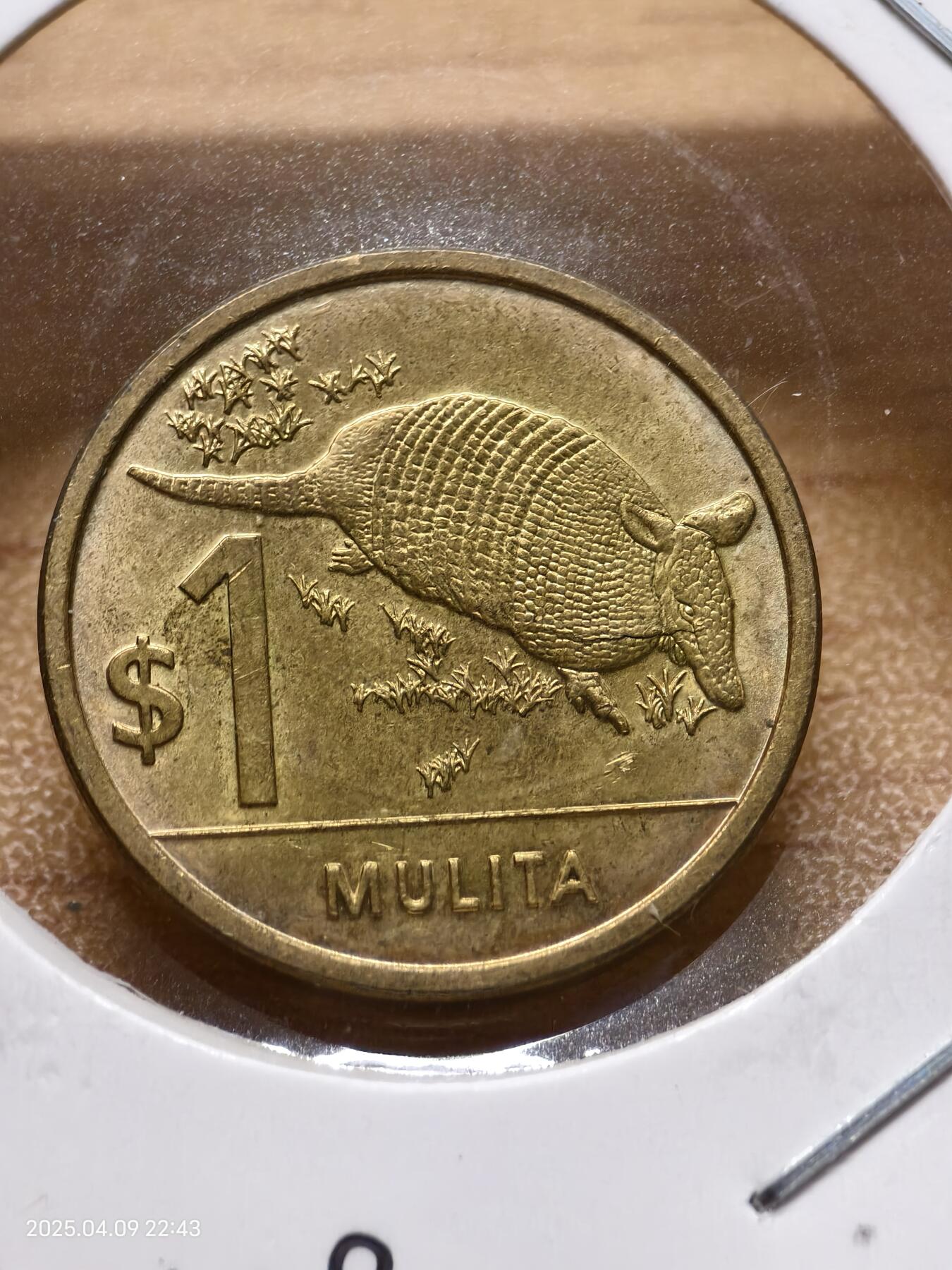 思丞收藏新店开张　散币第8场 0元起拍 可预留 无佣金 乌拉圭