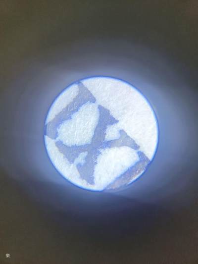 慈禧小版画 慈禧小版画