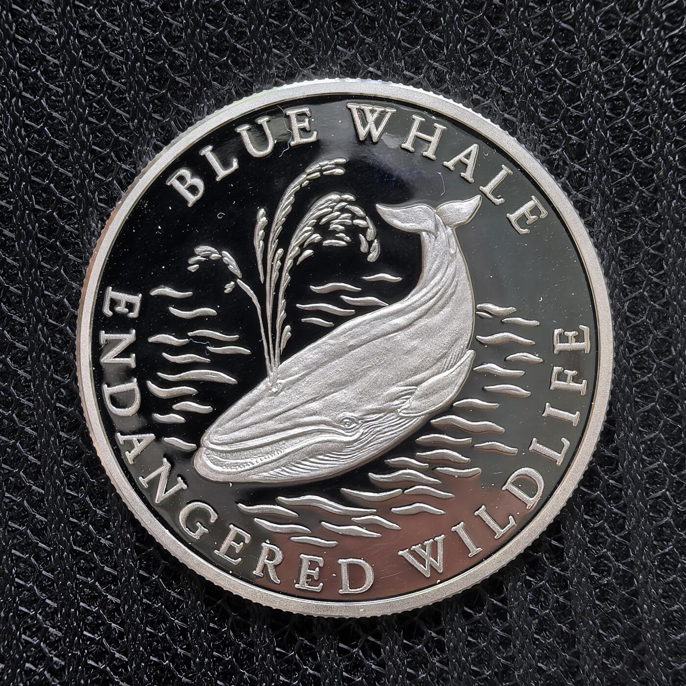 道一币馆币章第一百二十四场