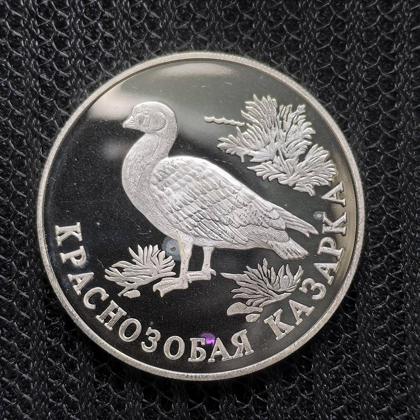 道一币馆币章第一百二十四场