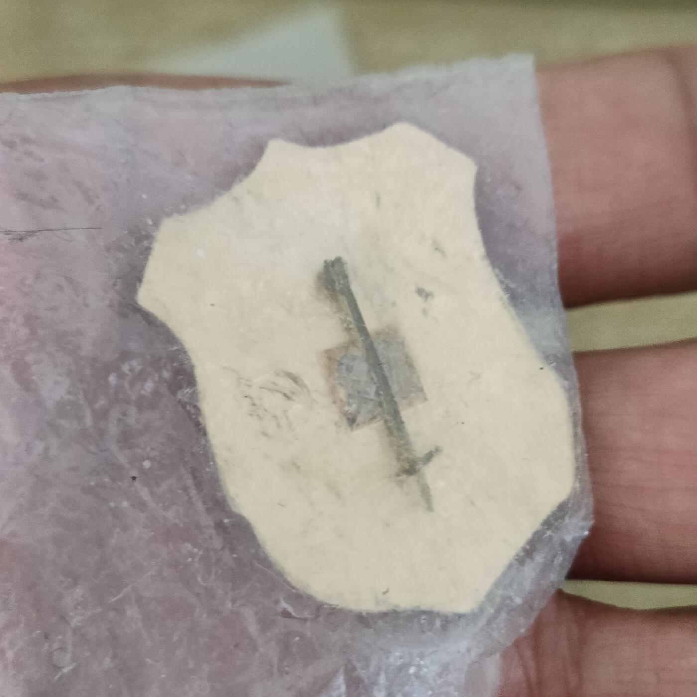 泡泡币外币第十场 苏联纪念章