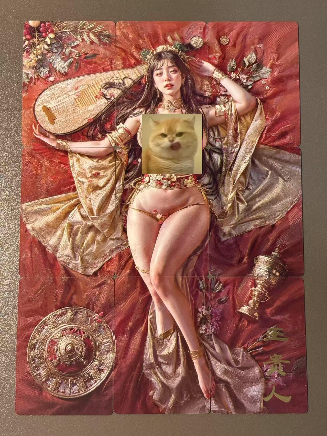 顶上之战 小王子精品卡牌拍卖第十场  燎原卡牌 妖姬传 刷子 王贵人 九拼普卡 看画无敌