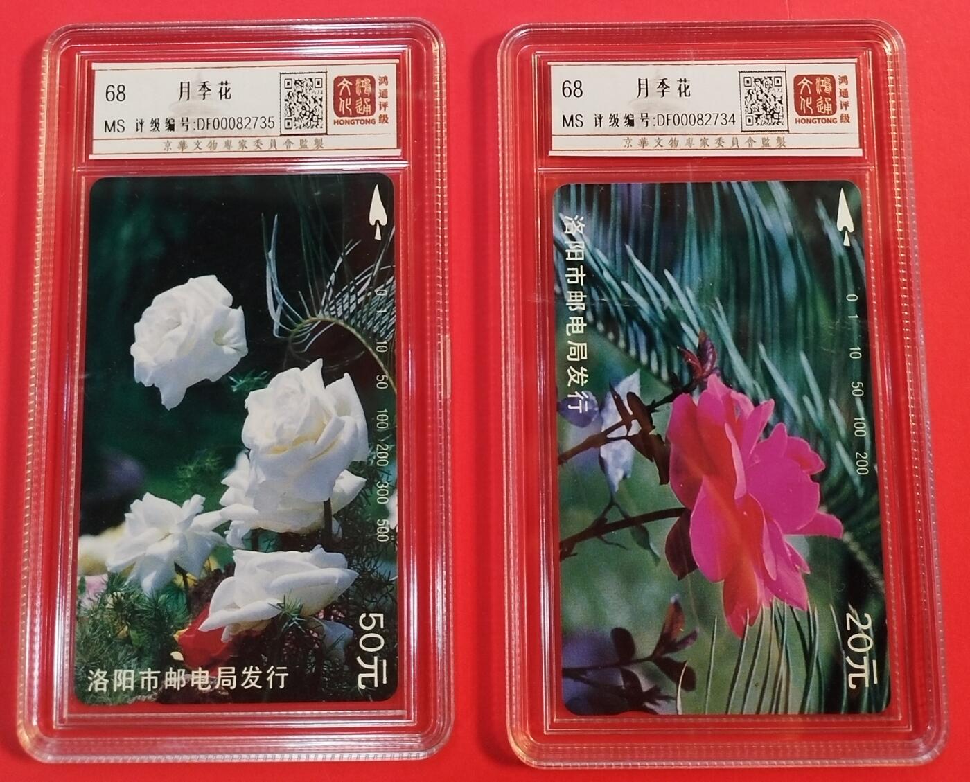 《鸿通俱乐部》拍卖第33期 4月16日21：00延时节拍 田村河南新卡《月季花》2全 鸿通68分*2