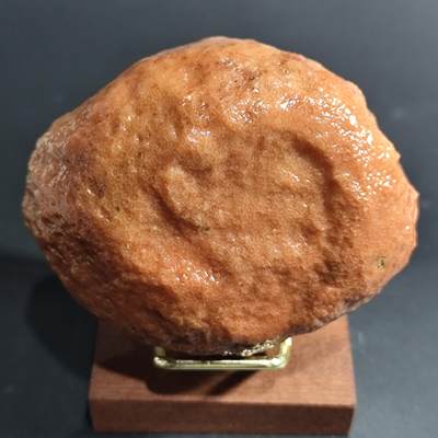【首场科普放漏价】古生物化石/奇石/玉石原石专场！陆小鱼的钱币仓，限时拍卖第001场 - 精品全红菊花纹珊瑚化石 油润度非常好 难得小精品 4.5亿年前奥陶纪时期海洋古生物化石标本 366g