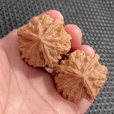❤️野生三棱狮子头(28052) 尺寸边到肚34*34*34高38mm重量29.3g - ❤️野生三棱狮子头(28052) 尺寸边到肚34*34*34高38mm重量29.3g