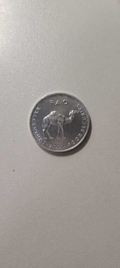 2025第十四期  索马里10先令硬币 骆驼  FAO铝币 
