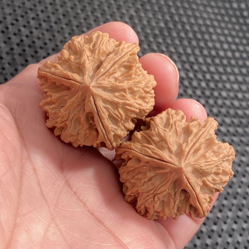 ❤️野生三棱狮子头(28052) 尺寸边到肚34*34*34高38mm重量29.3g