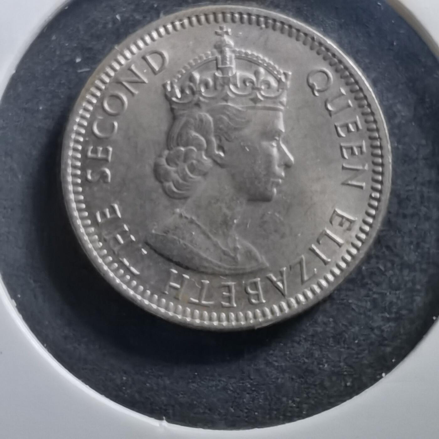 沼泽如烟--第689场