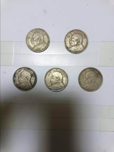 【20250422】非全新纸币第242场 - 袁大头5枚仿制币