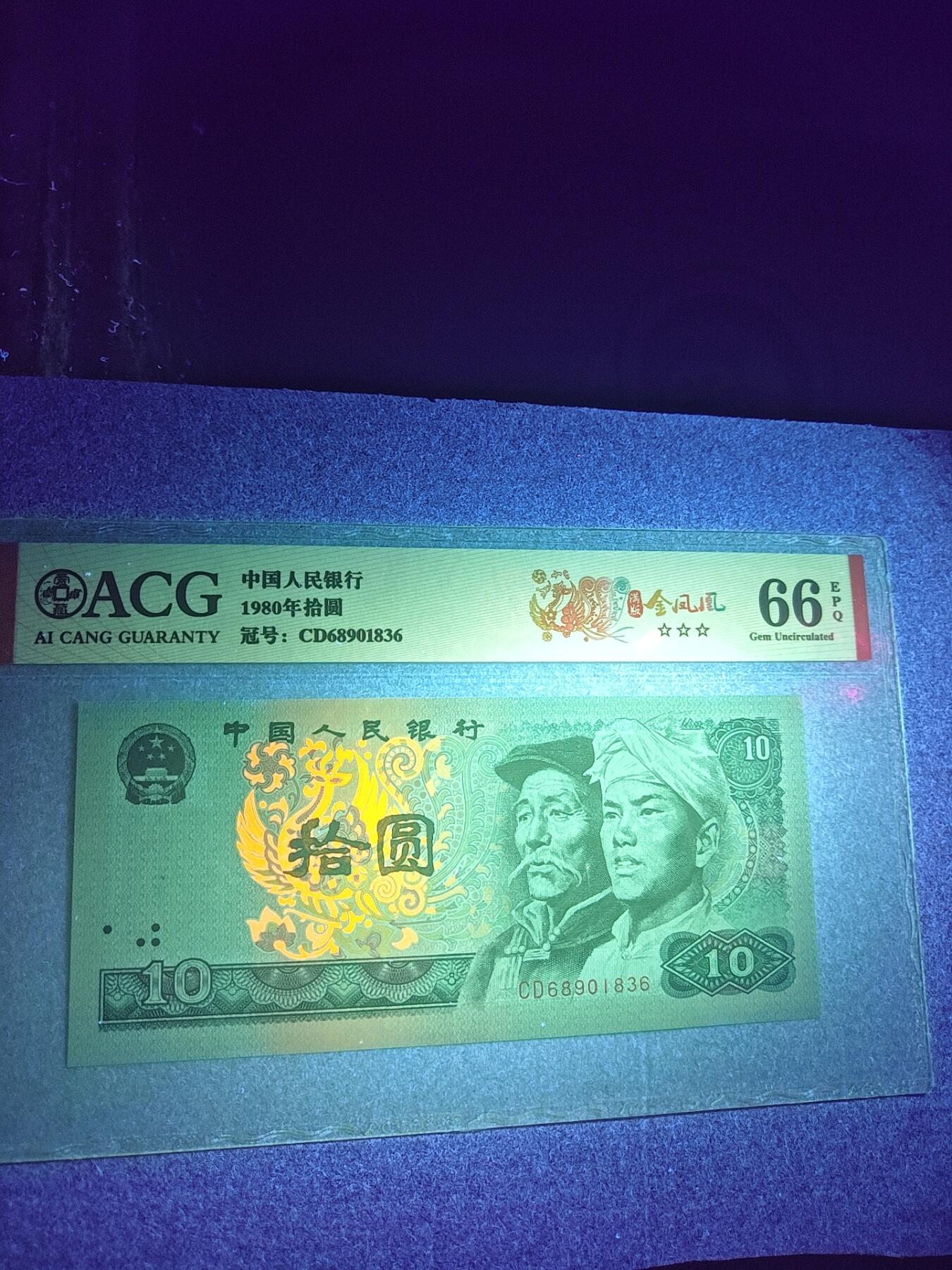 满版金凤凰