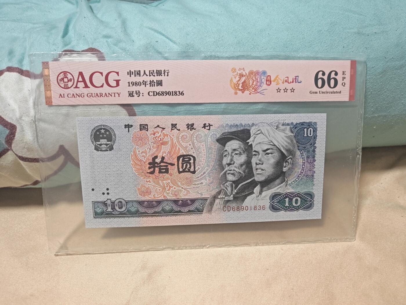 满版金凤凰