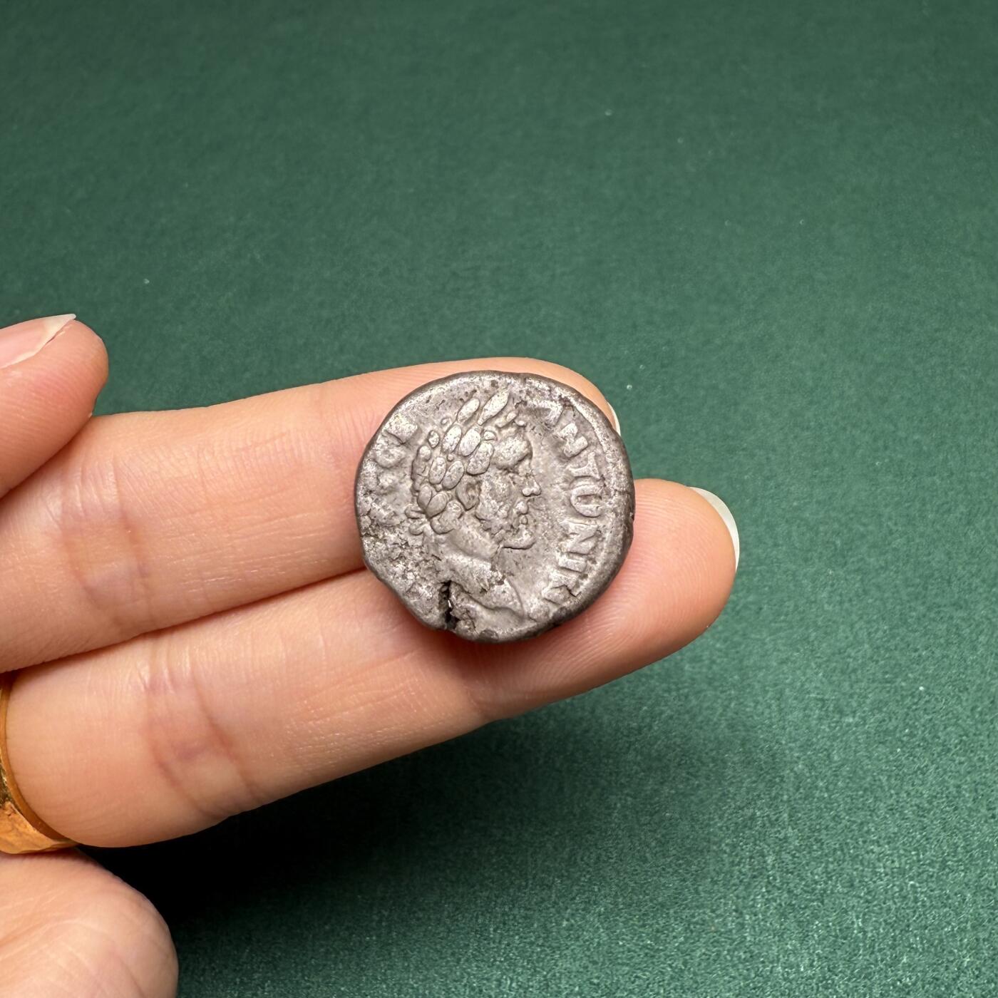 西方古典打制币 藏有送拍第四期