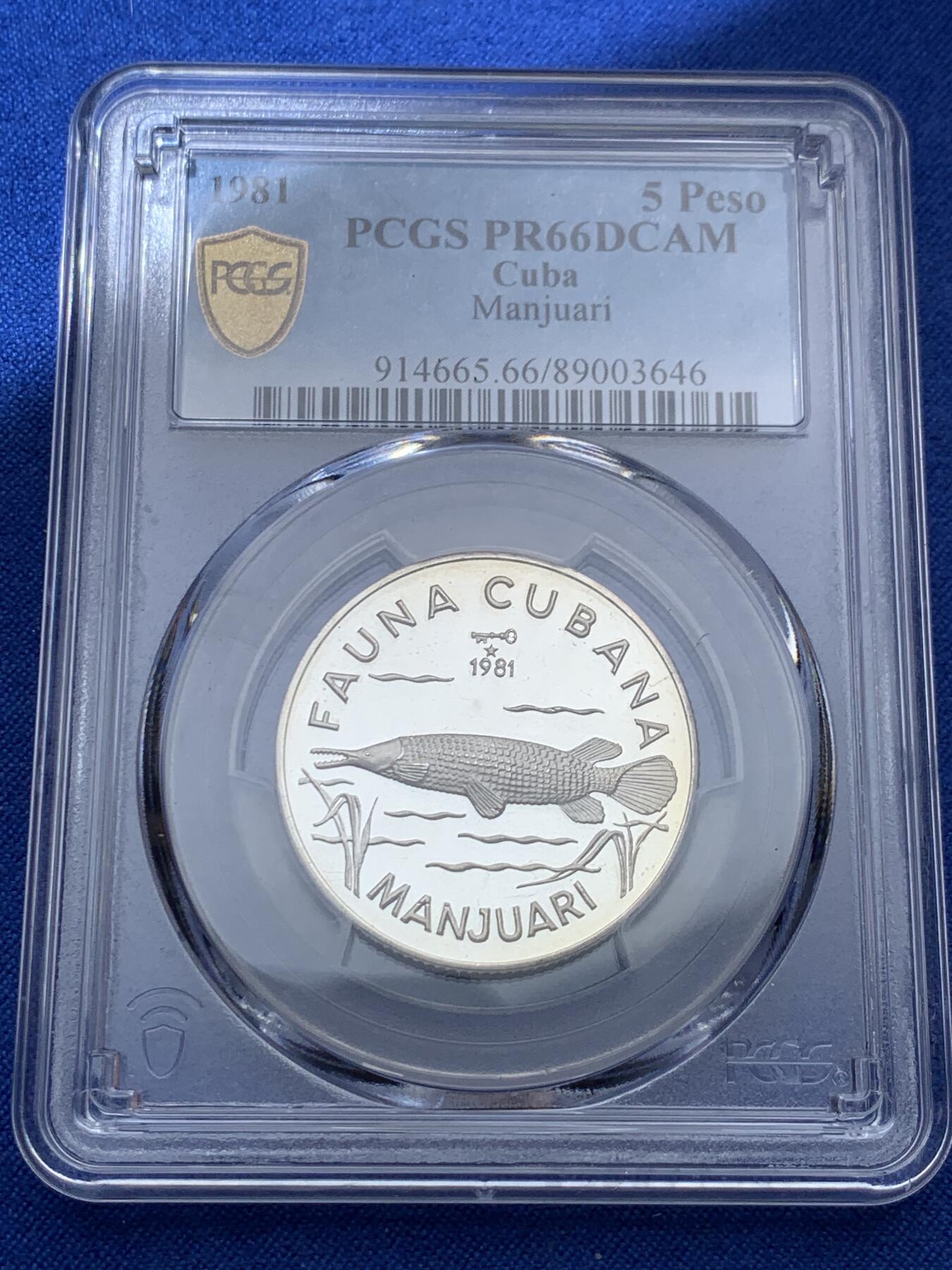 《竞宝斋》第373场 周日，周一，周二 3场连拍 （全场包邮） PCGS PR66DCAM 1981古巴5比索银币 热门野生动物系列 古巴雀鳝 得到DCAM评价品相很不错