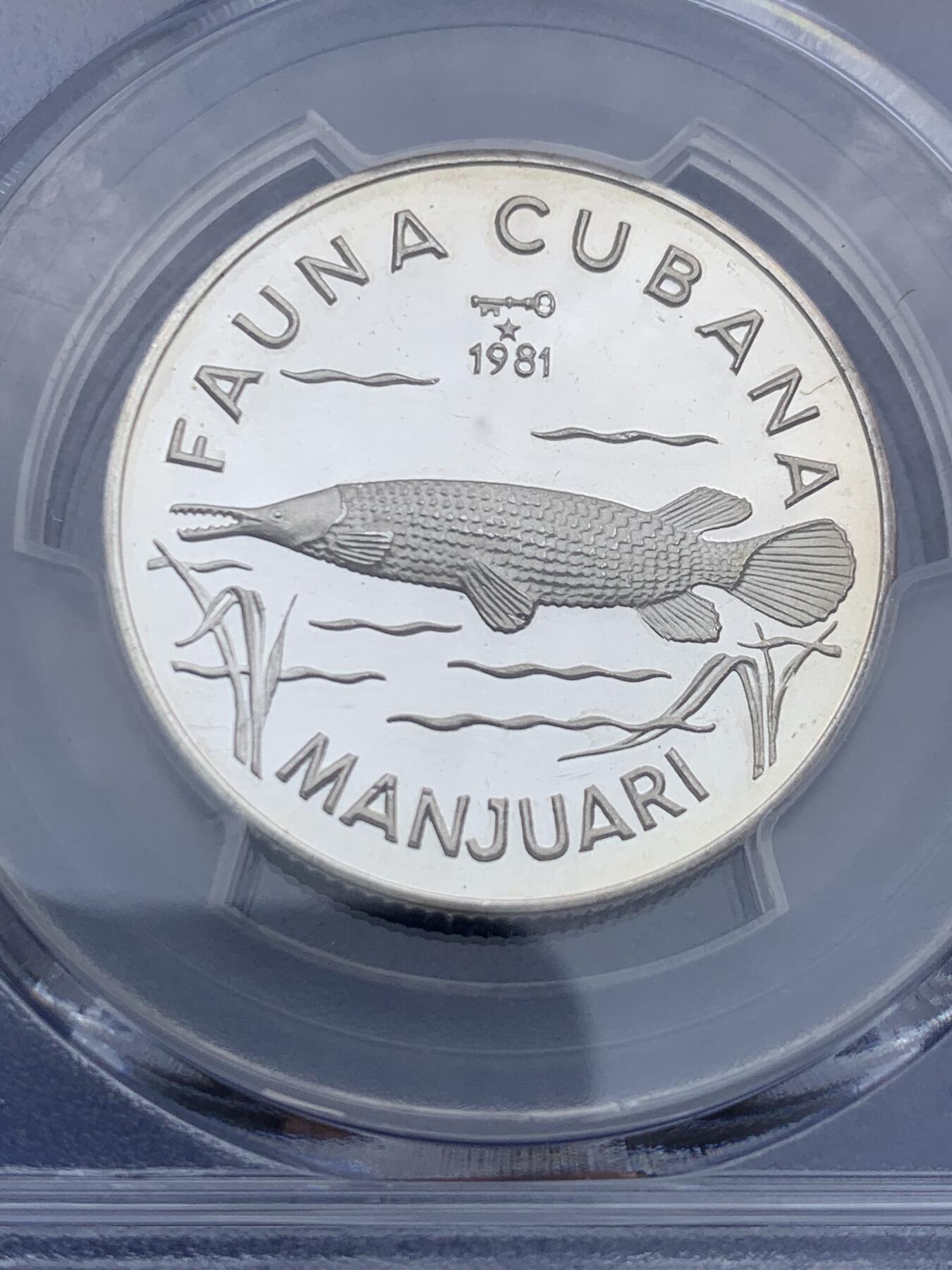 《竞宝斋》第373场 周日，周一，周二 3场连拍 （全场包邮） PCGS PR66DCAM 1981古巴5比索银币 热门野生动物系列 古巴雀鳝 得到DCAM评价品相很不错