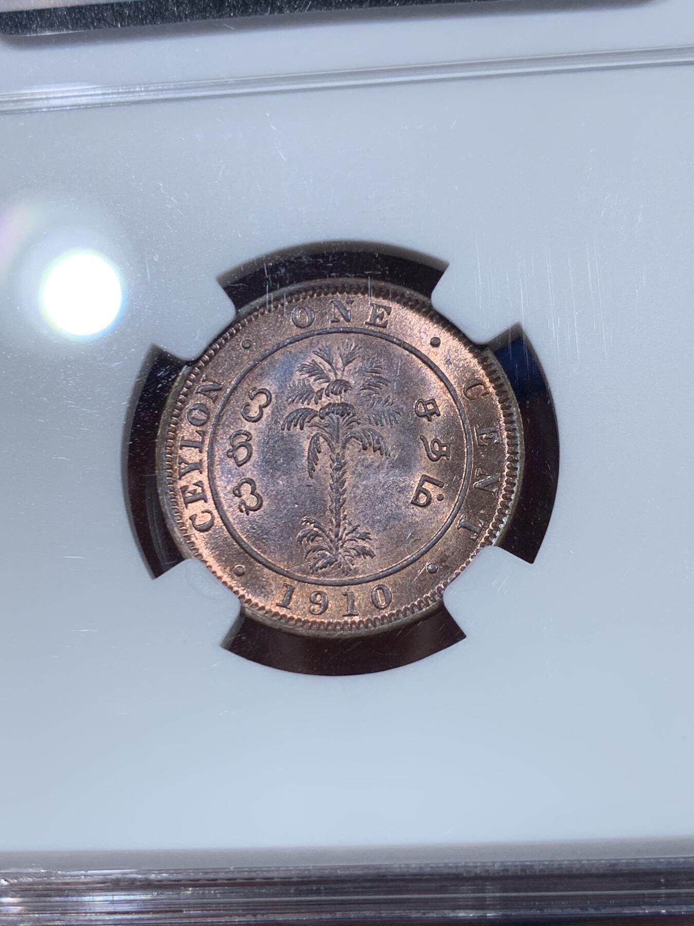 《竞宝斋》第374场 周日，周一，周二 3场连拍 （全场包邮） NGC MS64BN 英属锡兰1910年爱德华七世1分铜币，经典棕榈树图案。流通充分的铜辅币，铜光漂亮，状态不输RB。爱七在位不长，英属亚洲殖民地更是拍卖热点