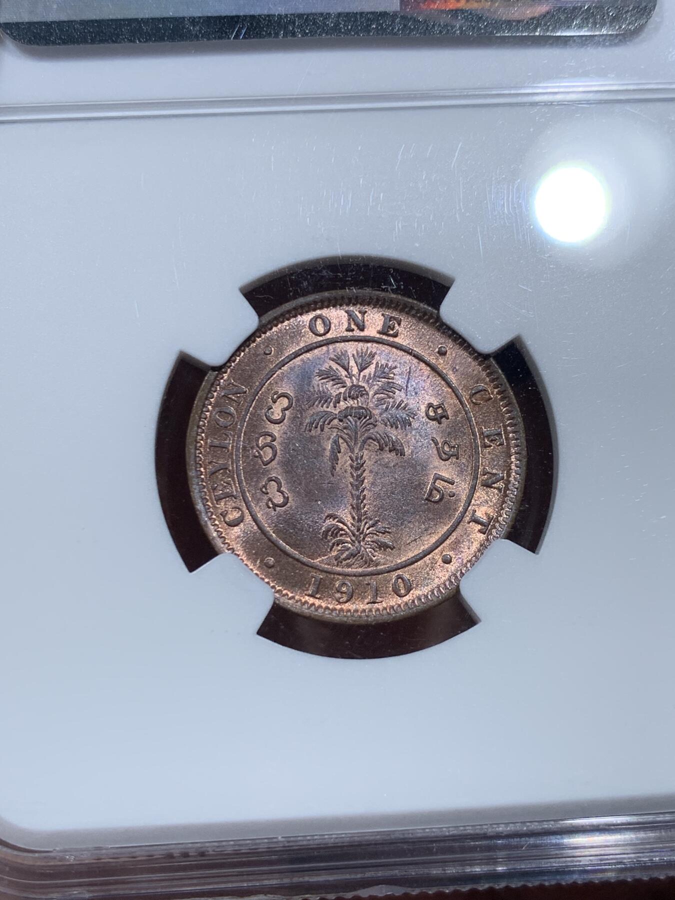 《竞宝斋》第374场 周日，周一，周二 3场连拍 （全场包邮） NGC MS64BN 英属锡兰1910年爱德华七世1分铜币，经典棕榈树图案。流通充分的铜辅币，铜光漂亮，状态不输RB。爱七在位不长，英属亚洲殖民地更是拍卖热点