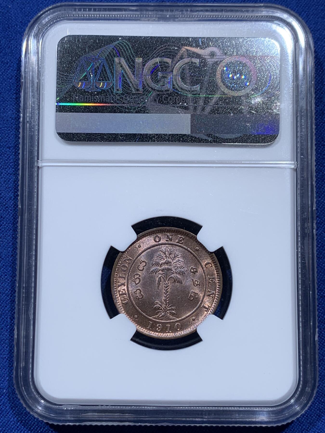 《竞宝斋》第374场 周日，周一，周二 3场连拍 （全场包邮） NGC MS64BN 英属锡兰1910年爱德华七世1分铜币，经典棕榈树图案。流通充分的铜辅币，铜光漂亮，状态不输RB。爱七在位不长，英属亚洲殖民地更是拍卖热点
