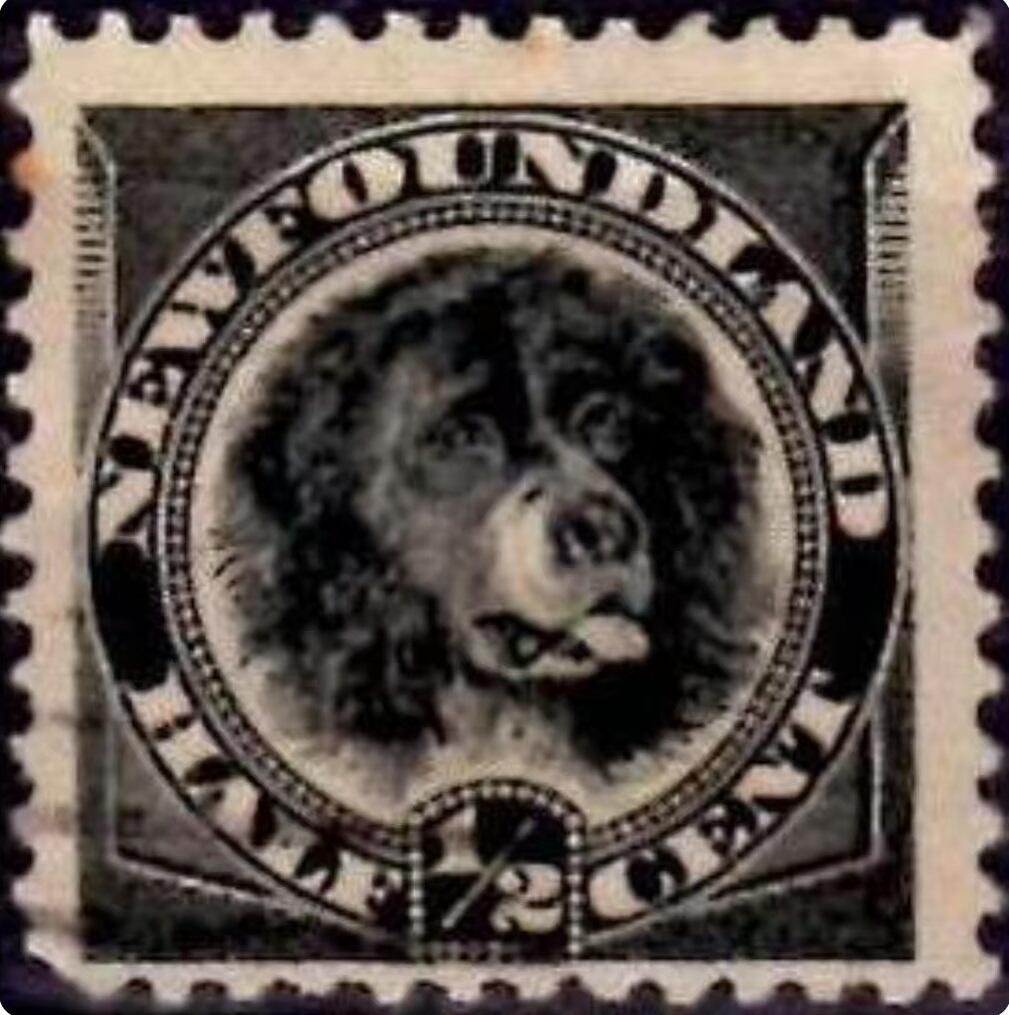 世界第一邮票 —— 世界第一枚狗邮票，纽芬兰，1887年，半分，新 （店内编号223）