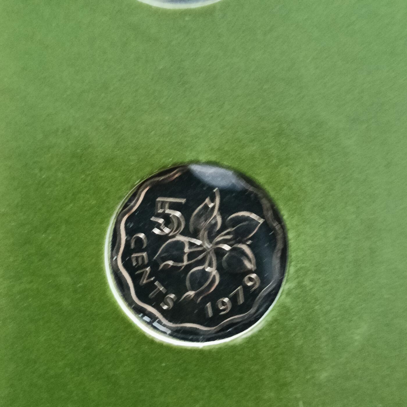 泡泡币外币第二十场可代拍15038385335微信 斯威士兰