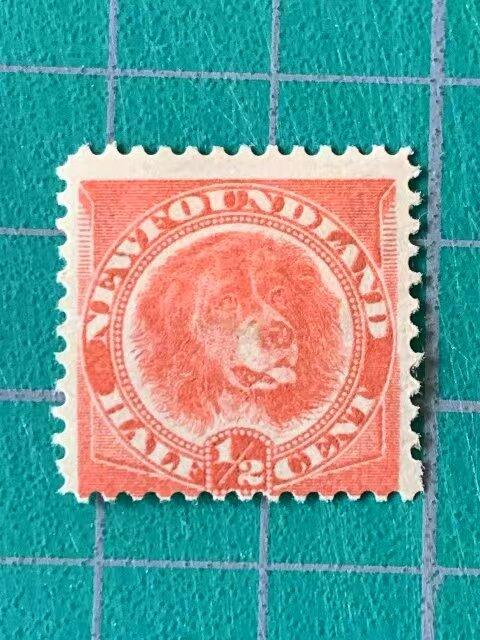 世界第一邮票 —— 世界第一枚狗邮票，纽芬兰，1887年，半分，新 （店内编号223）