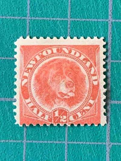 世界第一邮票 —— 世界第一枚狗邮票，纽芬兰，1887年，半分，新 （店内编号223） - 世界第一邮票 —— 世界第一枚狗邮票，纽芬兰，1887年，半分，新 （店内编号223）