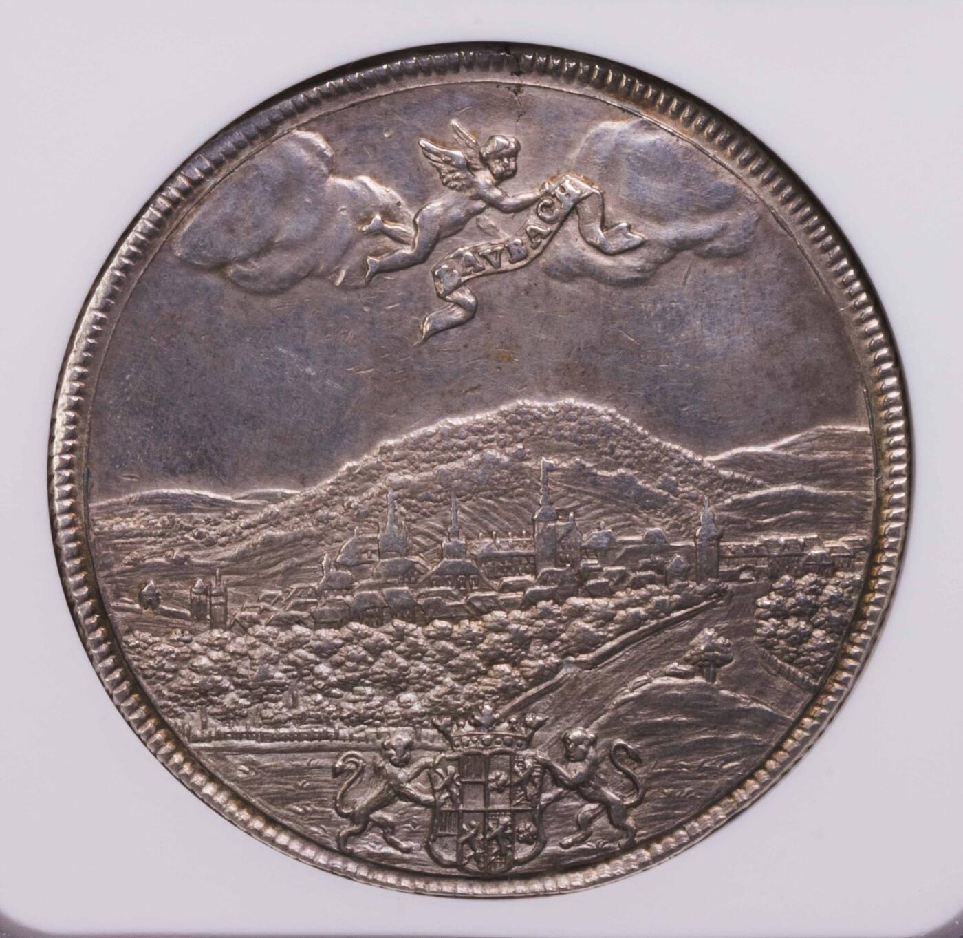 NGC-UNCD 1738索尔慕斯兰巴赫城市景观泰勒 少见品种
