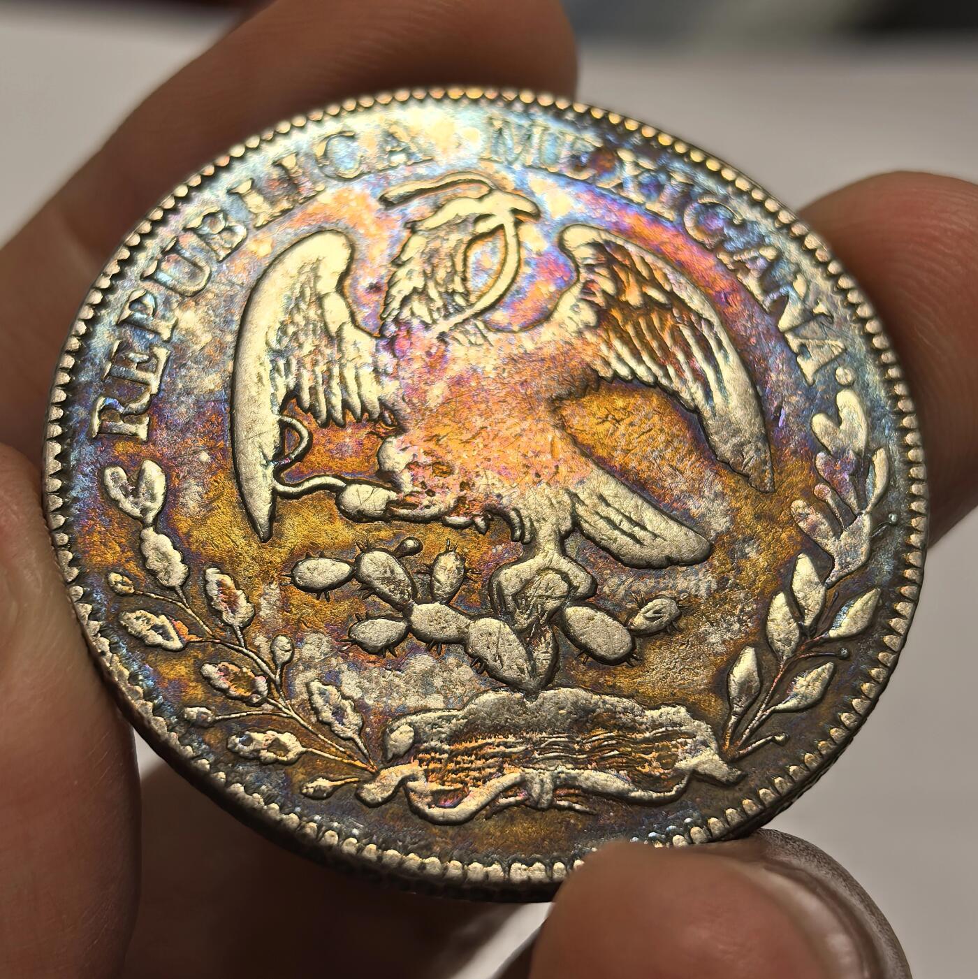 博洋堂“春风得意”四月精品专场暨第120期（全场包邮） 墨西哥花边鹰洋1875ZS JA 五彩