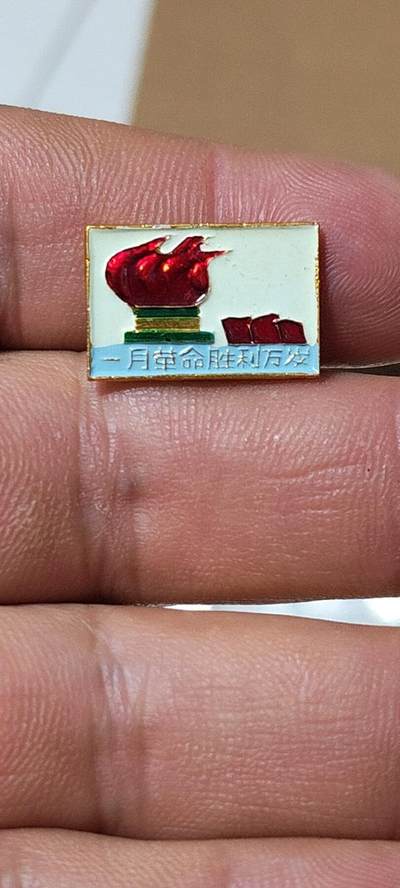 毛主席像章、徽章拍场，都是精品小章 - 🔥🔥🔥🔥一月革命胜利万岁章