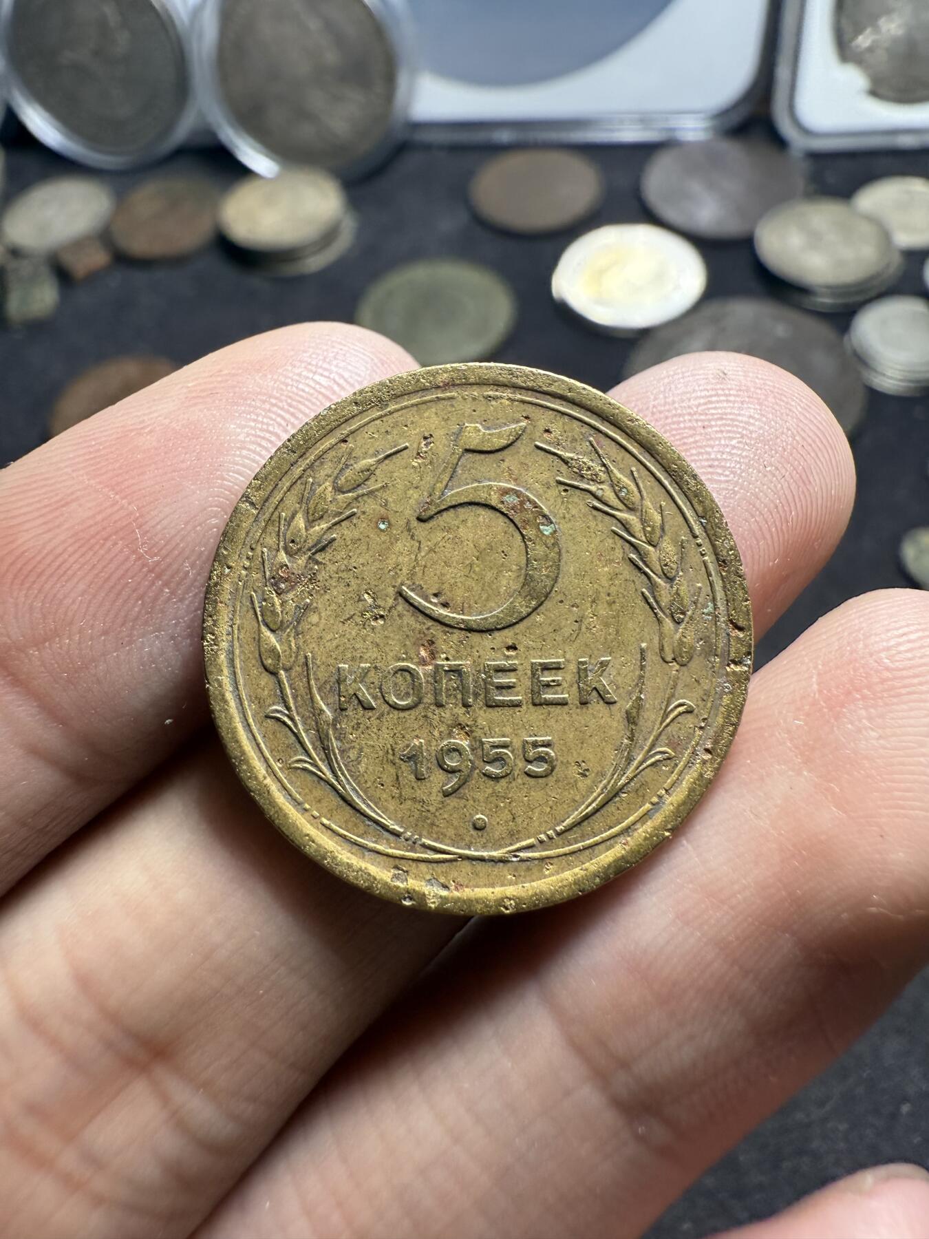 南宋泉阁俄币 外币 国币 专场第九期【送拍无额外佣金】 苏联 1955年5戈比铜币 苏联第三套流通硬币 有腐蚀 通货好品