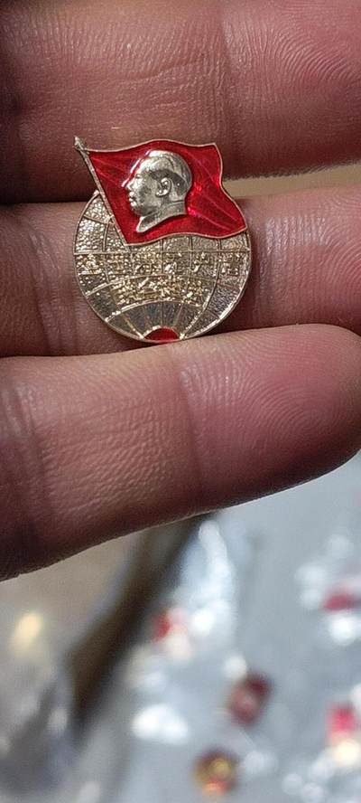 毛主席像章、徽章拍场，都是精品小章 - 🔥🔥毛主席像章，地球 +红旗图案，可佩戴