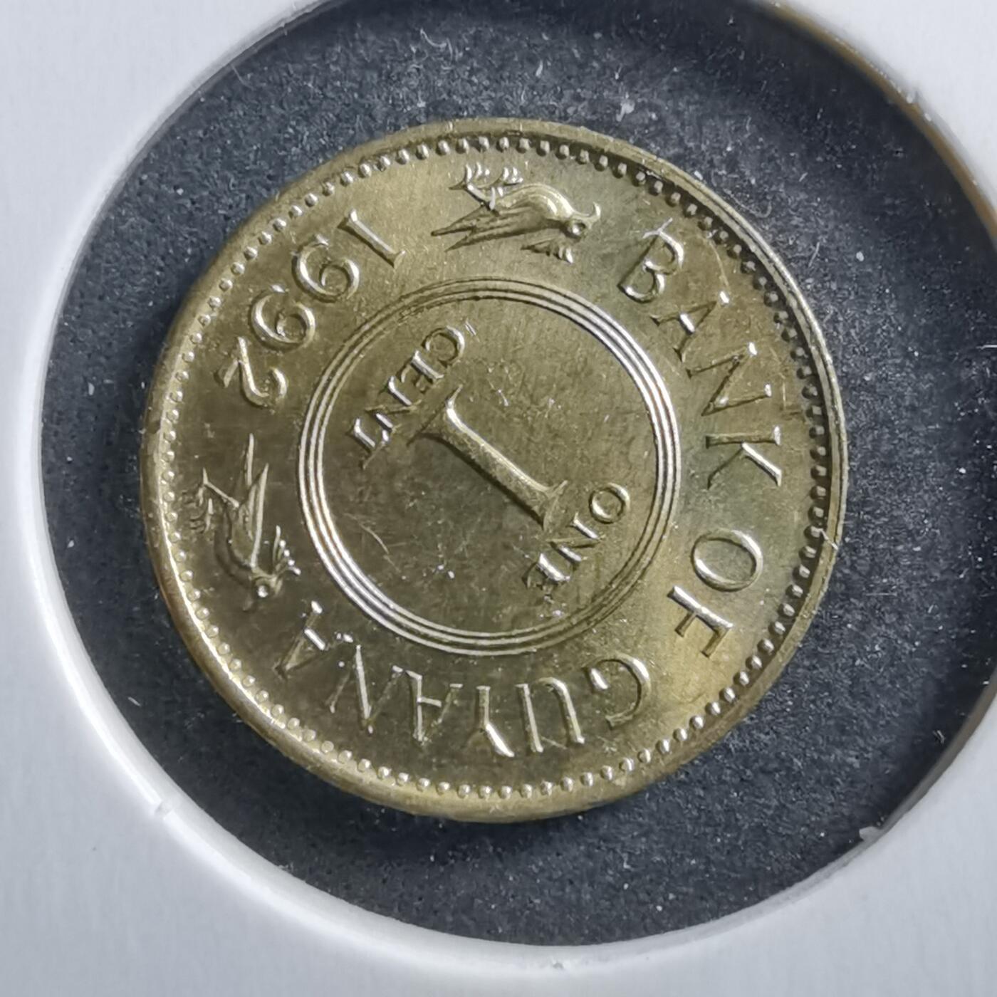 沼泽如烟--第695场