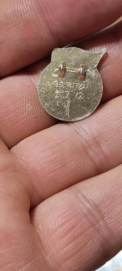 毛主席像章、徽章拍场，都是精品小章 🔥🔥毛主席像章，地球 +红旗图案，可佩戴